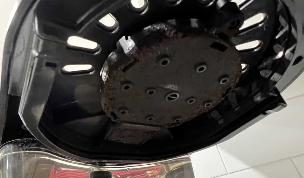 Bonavita BV1901TS Review - showerhead