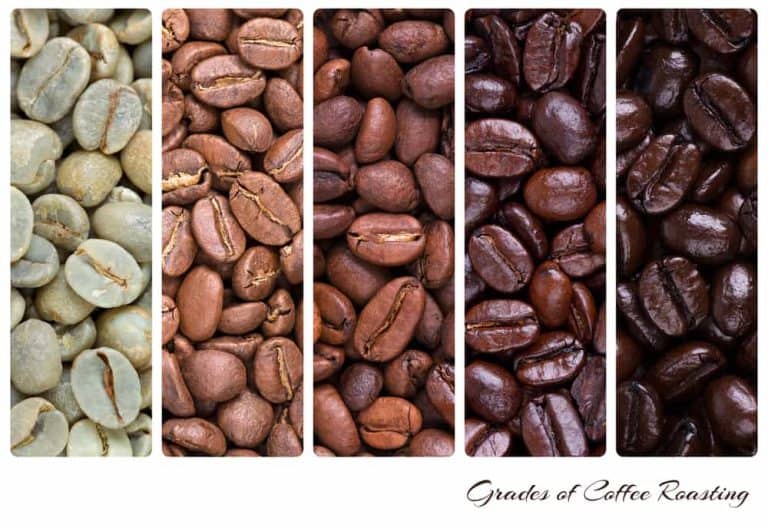 light vs medium vs dark roast coffee beans